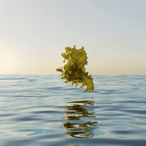 Tulum_LAX0323_Las_Palmas_Doradas__1__AdobeExpress