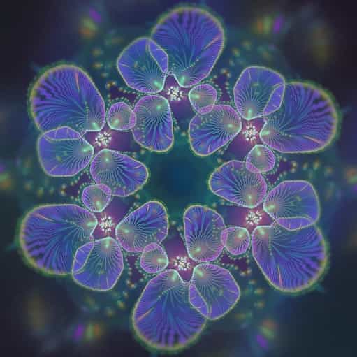 unnamed-Sep-12-2022-11-16-41-11-PM